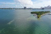 Best Price Jet Ski Rental Miami image 3